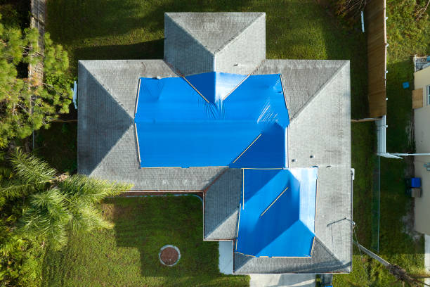 Best Metal Roofing Installation  in Osborne, KS