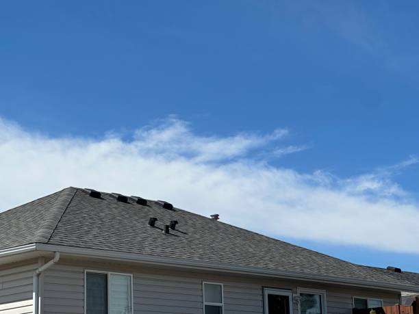 Best Sheet Metal Roofing  in Osborne, KS